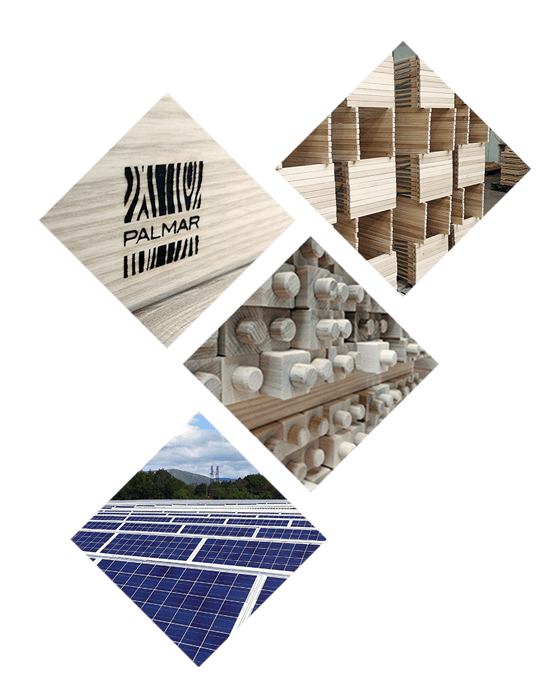 azienda palmar home page
